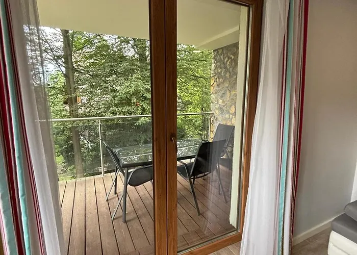 Avangarda 1 * 卡尔帕奇