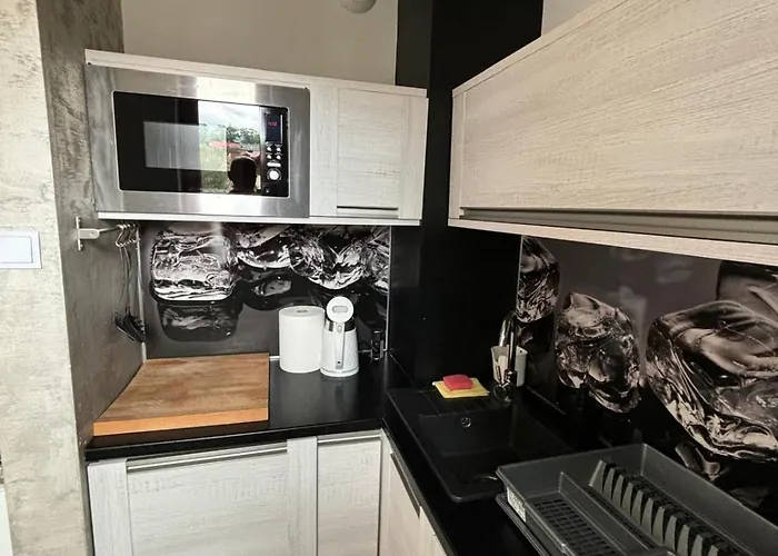 公寓 Avangarda 1 卡尔帕奇